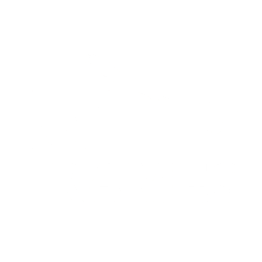 Wild Frames Chile